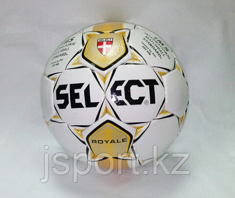 Футбольный мяч Select №5 - фото 6 - id-p33118444