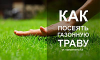 Как посеять газонную траву?