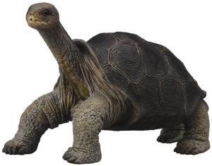 CollectA Фигурка Абингдонская слоновая черепаха - фото 1 - id-p33167409