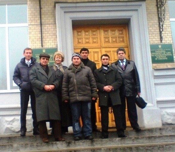 Готовим специалистов трансплантации эмбрионов КРС