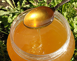 Медовая продукция купить с доставкой в Караганде