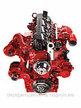 Двигатель Cummins QST30, QSM11C, Cummins QSM-11, Cummins M11, фото 6