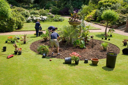 Консультация ландшафтного дизайнера