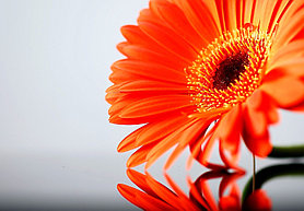 Печать на фотобумаге