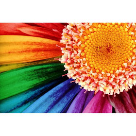 Интерьерная печать