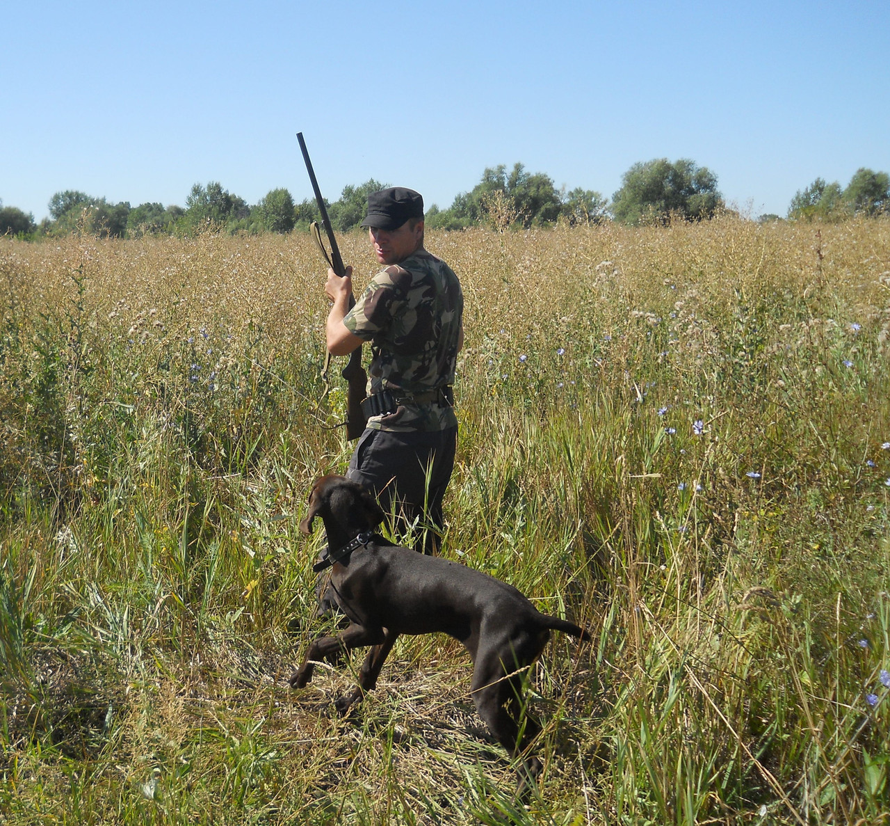Натаска и испытания охотничьих собак