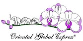ТОО «Туристическая компания «Oriental Global Express»