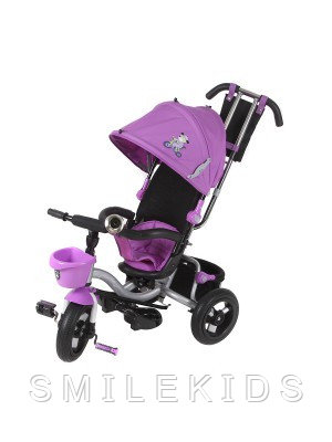Детский велосипед Mini Trike