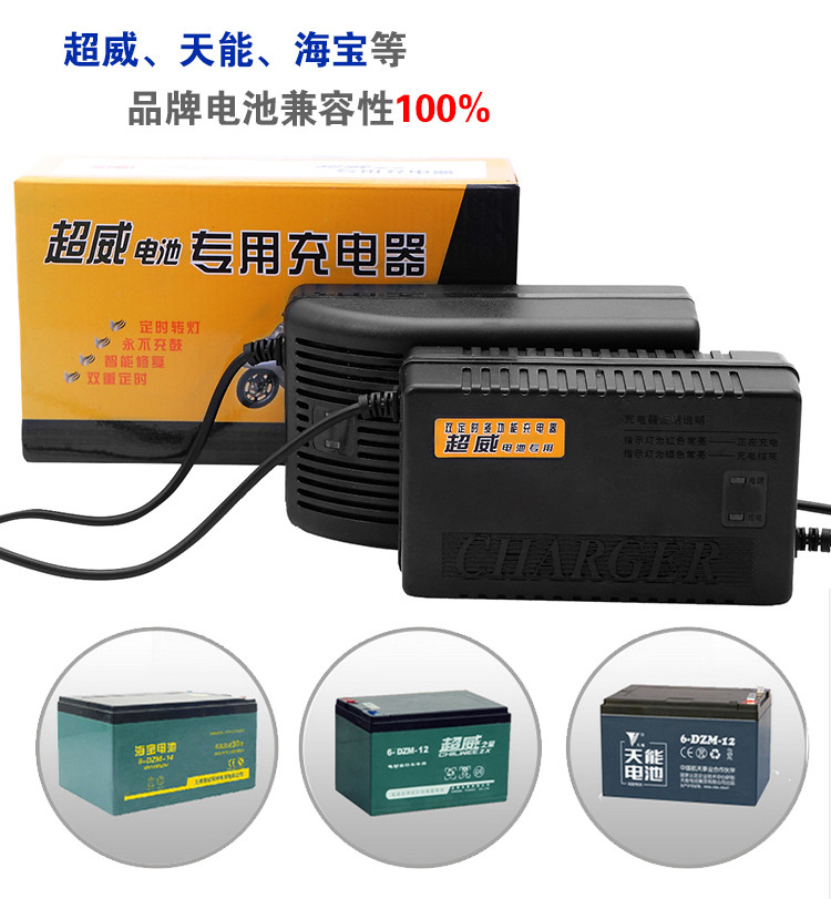 Зарядные устройства на свинцово-кислотные гелевые аккумуляторы 24 v, 48 v, 60 v, 72 v, 96v. - фото 1 - id-p34535513