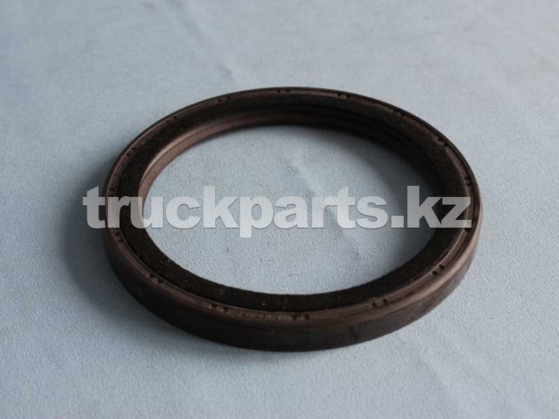 Сальник коленвала задний 095118-10 ДВС BJ493ZLQ E049302000170/014