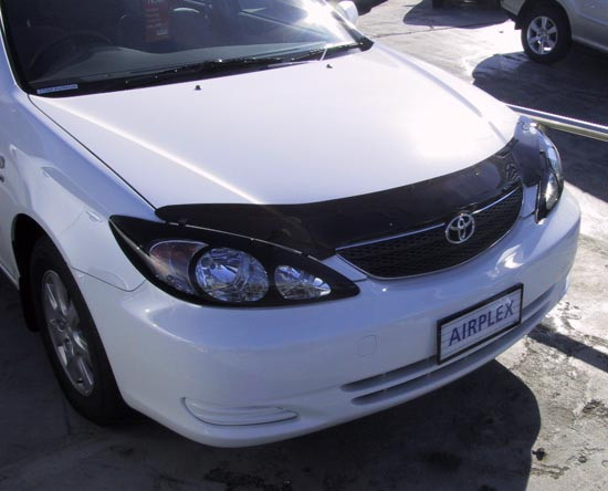 Защита фар Toyota Camry 30 2002-2004 с чёрным рисунком - фото 1 - id-p28785919