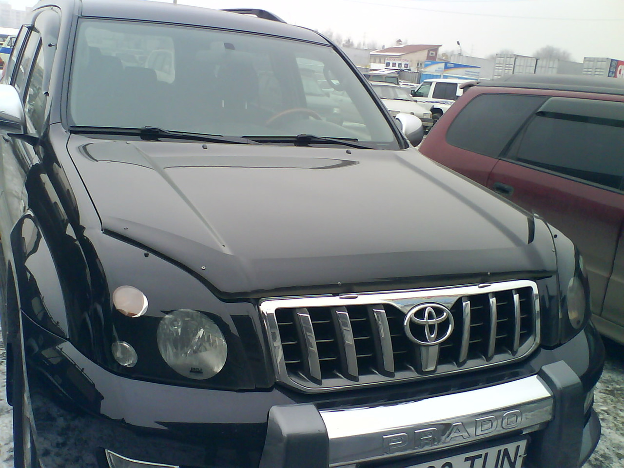 Защита фар Toyota Land Cruiser Prado 120 2003-2008 с чёрным рисунком
