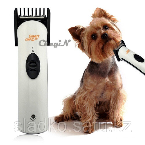 Машинка для стрижки собак и кошек Pet Hair clipper HL-6609 - фото 4 - id-p35200312