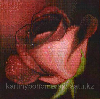Картина стразами без подрамника H2722 25x25см