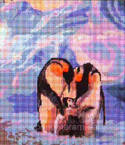 Картина стразами без подрамника D4200 41x46см