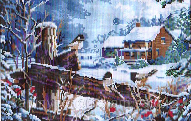 Картина стразами без подрамника F3812 52x36см