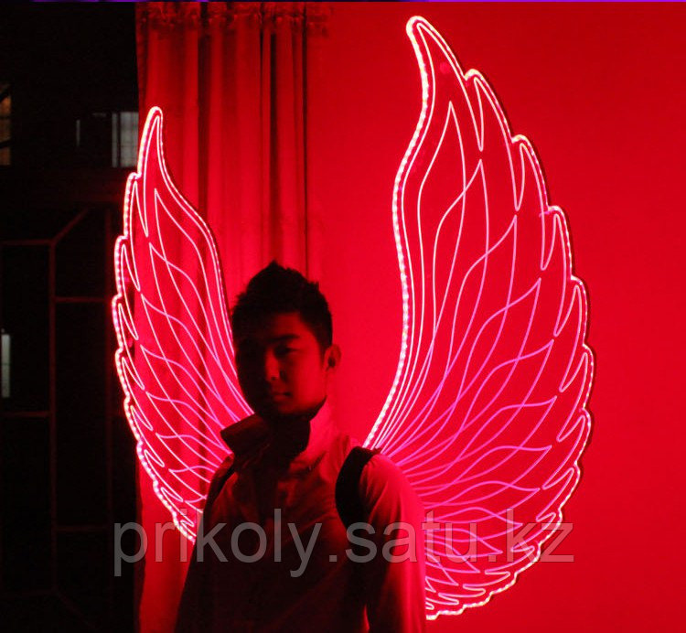 LED крылья - фото 1 - id-p35223057