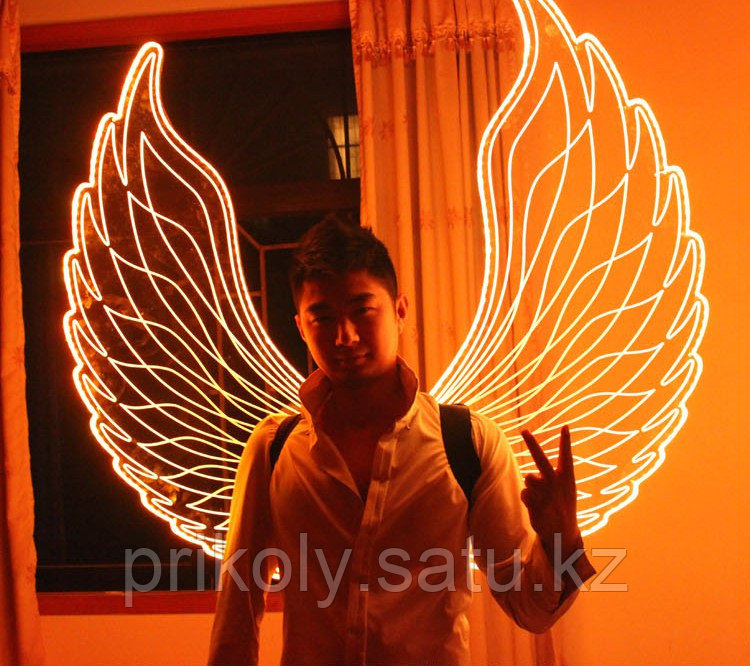 LED крылья - фото 4 - id-p35223057