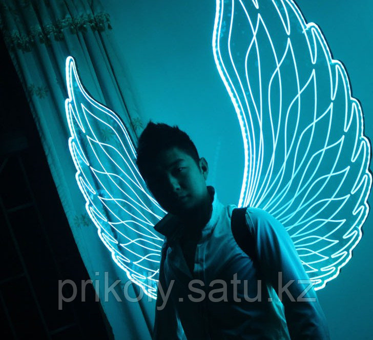 LED крылья - фото 5 - id-p35223057