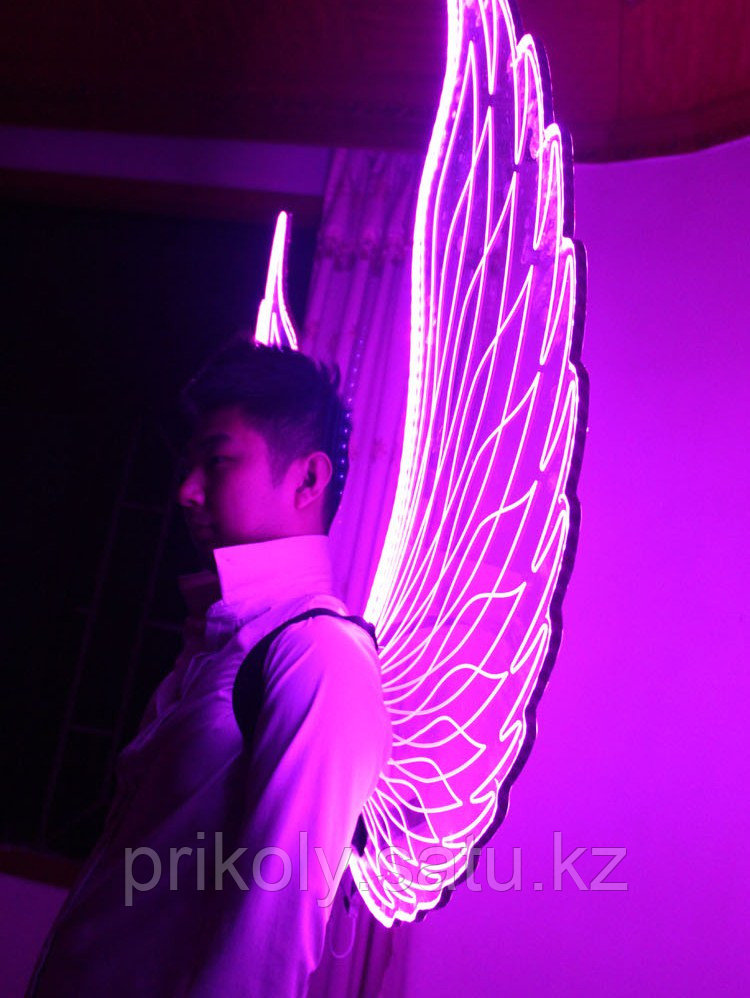 LED крылья - фото 9 - id-p35223057
