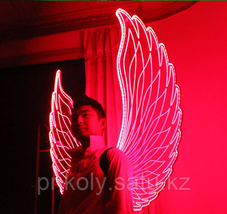 LED крылья - фото 10 - id-p35223057