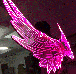 LED крылья, фото 3