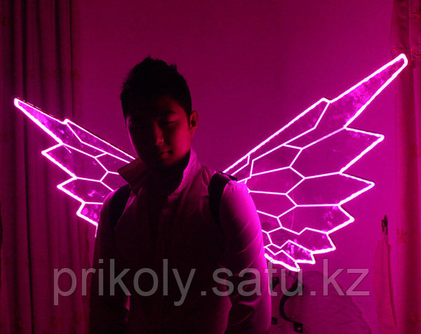 Светодиодные крылья - фото 1 - id-p35229932