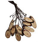 Кедровый срез, высота 3-5 см