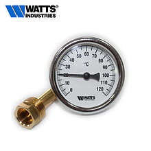 Термометры WATTS