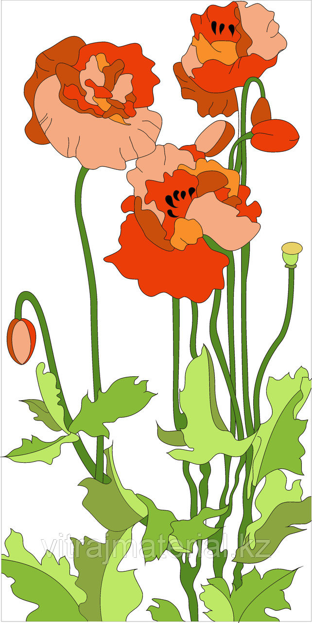 O39