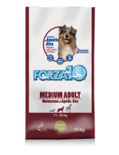 Сухой корм для собак средних и крупных пород Forza10 Maintenance  Agn/Riso Medium/Large  (ягнёнок и рис)