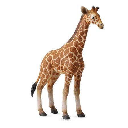 Collecta Фигурка Жеребенок сетчатого жирафа, высота 12.5 см