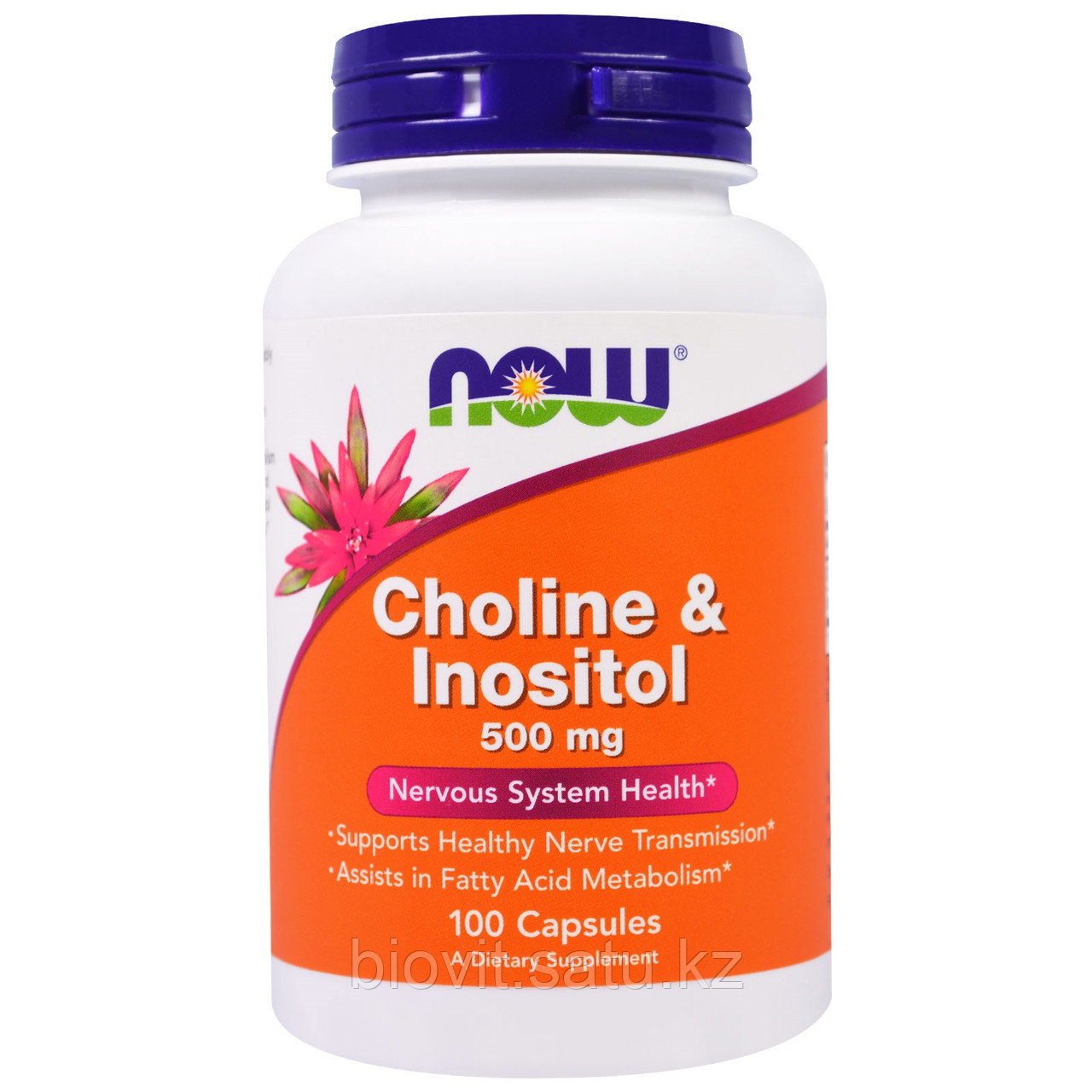 Холин и Инозитол 500 мг. Choline & Inositol 500 mg, 100 капсул. Now Foods