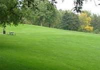 Садово-парковый газон