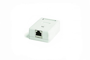 Hyperline SB2-1-8P8C-C5e-SH-WH Розетка компьютерная RJ-45(8P8C), категория 5e, экранированная, одинарная, внешняя, Dual IDC.