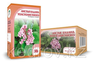 Бадан, корень 50гр.