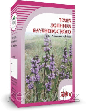 Зопник клубненосный 50 гр.