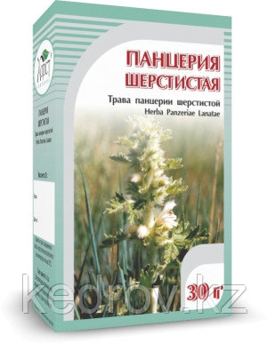 Панцерия шерстистая, трава 30гр.