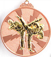 Медаль рельефная "ТХЭКВОНДО" (бронза)