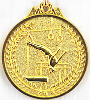 Медаль СПОРТИВНАЯ ГИМНАСТИКА (золото)