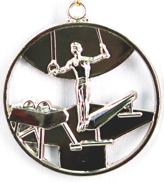 Медаль СПОРТИВНАЯ ГИМНАСТИКА (серебро)