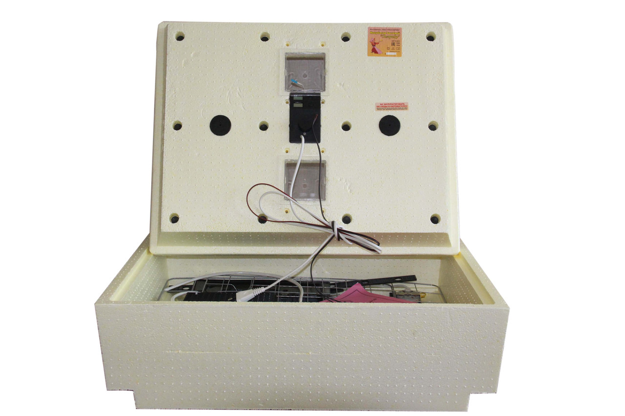 инкубатор золушка 2020