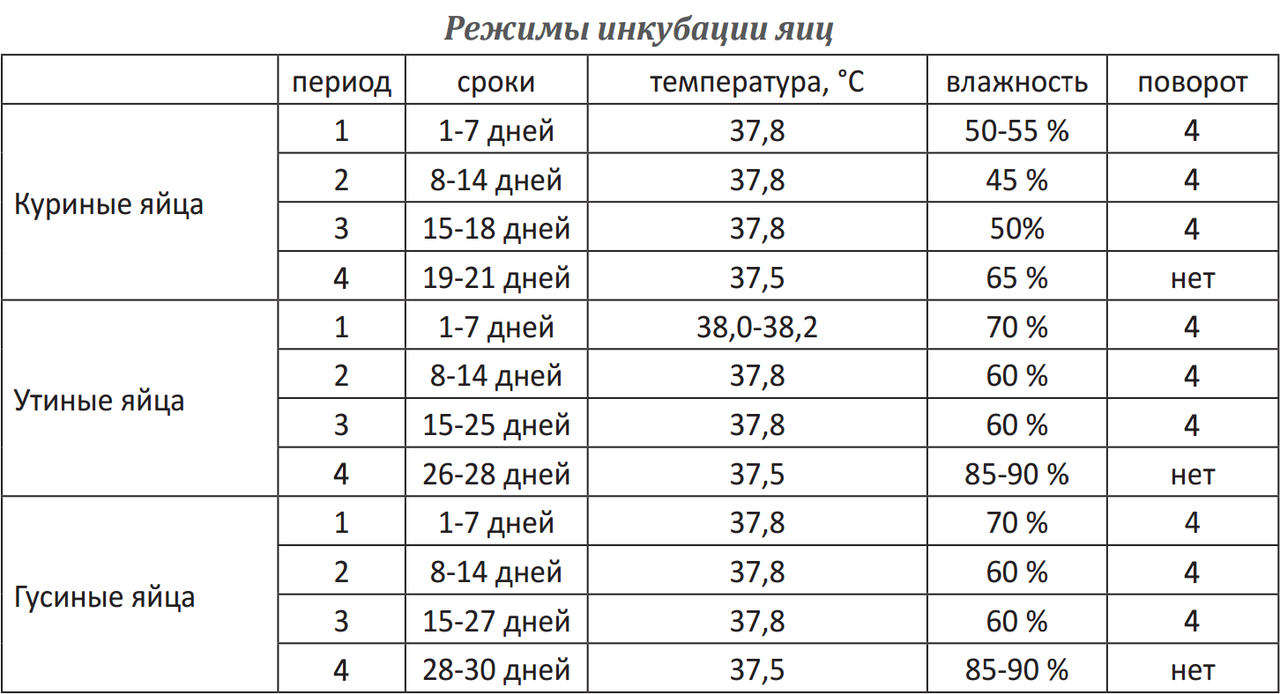 Схема инкубации бройлерных яиц