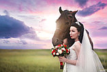 Свадебная фотосъемка в Павлодаре, фото 5