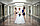 Услуги профессионального фотографа на свадьбу в Павлодаре, фото 2
