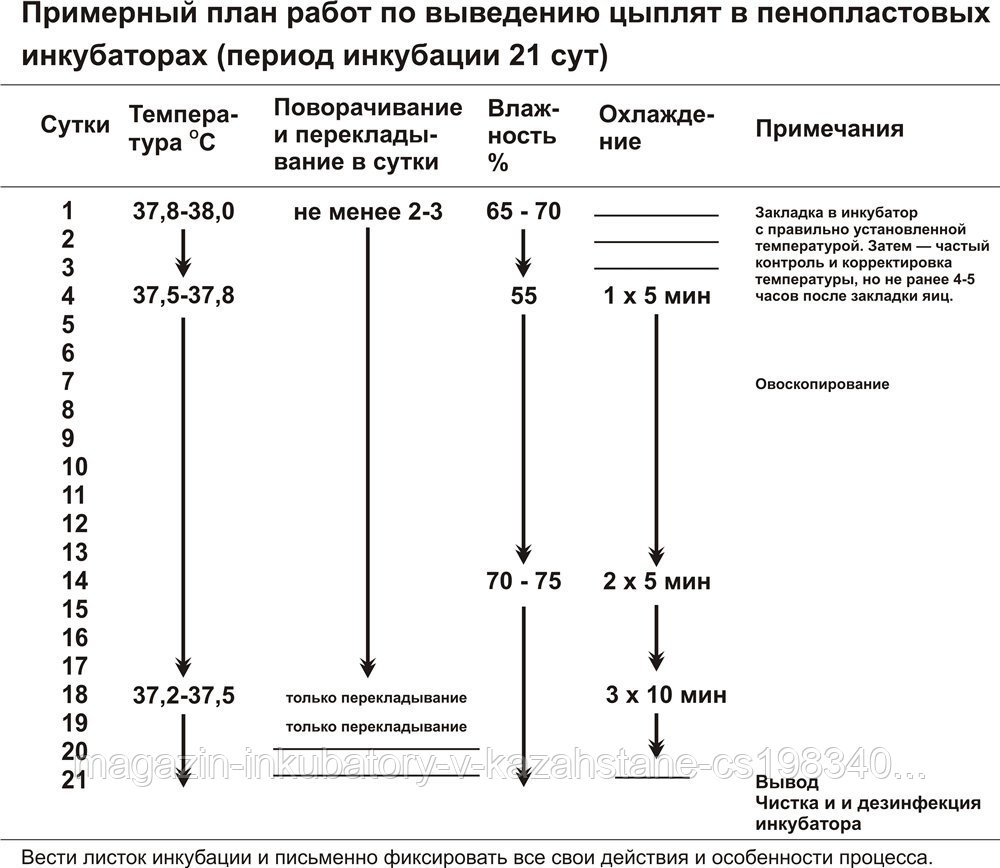 Инкубация цыплят в инкубаторе