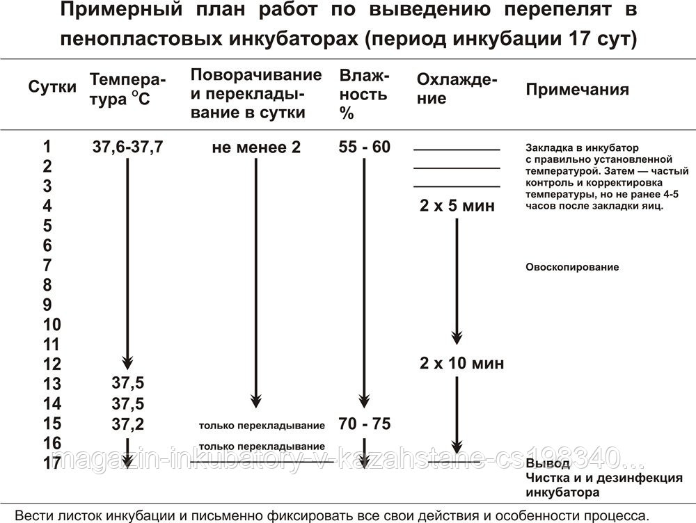 Схема инкубации куриных