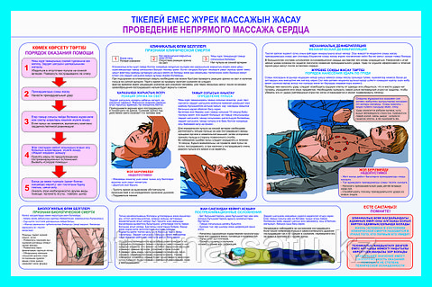Орыс қожайынының әйелі порно
