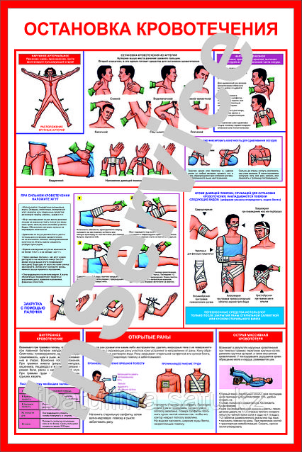 Медбикемен жыныстық қатынас туралы бейнені қараңыз