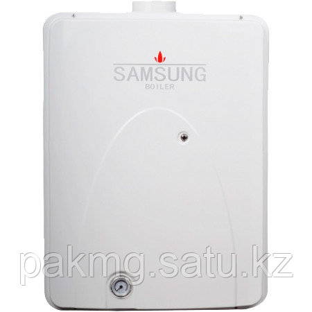 Газовый котел Samsung Smart-G SSB29k - фото 1 - id-p37229833